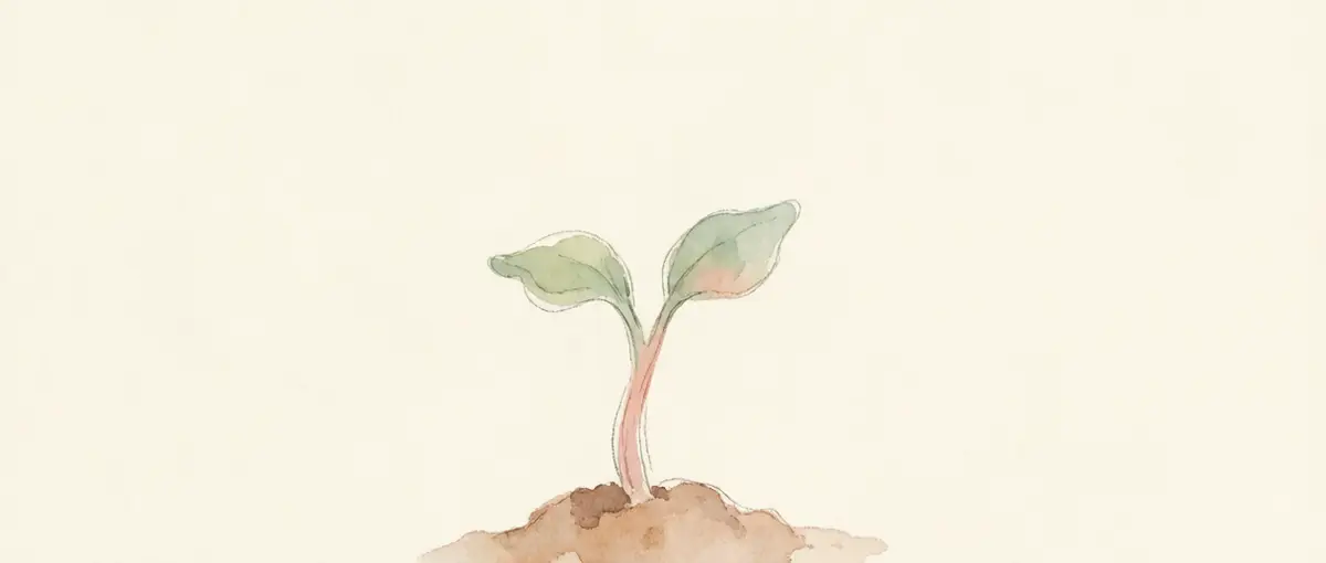The First Sprout: that tender moment when something has just come alive