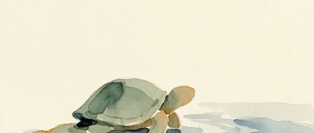 The Turtle: Slow Is Not Stupid, It Keeps Its Own Clock