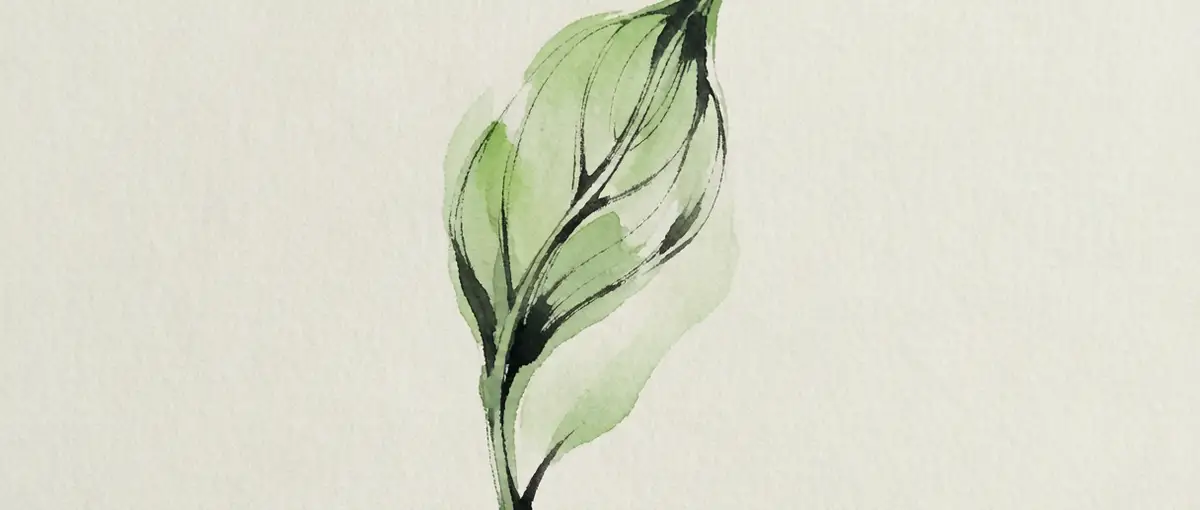 The Green That Has Not Yet Ripened